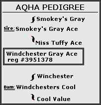 Windchester Gray Ace Pedigree